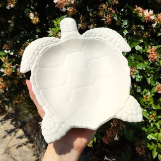Tortuga Coloris Naturel