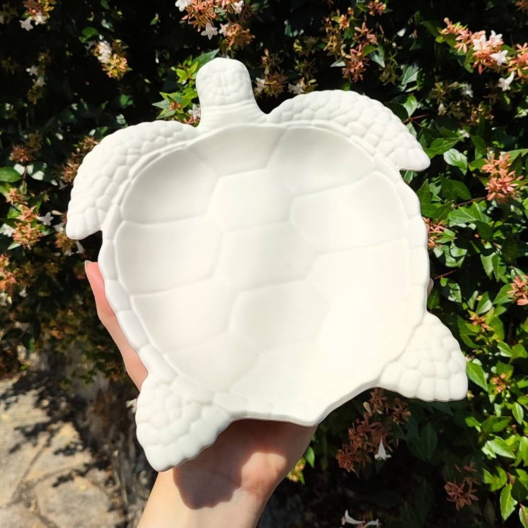 Tortuga Coloris Naturel
