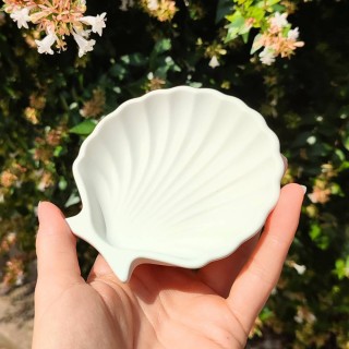 Coquille Saint Jacques Coloris Naturel