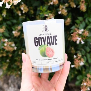 Goyave Irisée Goyave Irisée