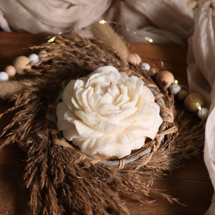 Lotus Blanc et Coton