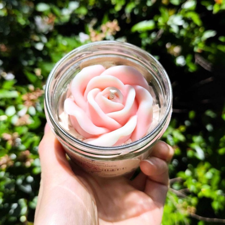 Rose Vanillée Petite Chantilly