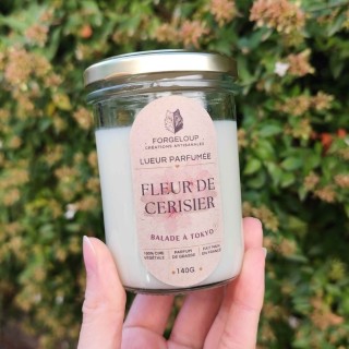 Fleur de Cerisier